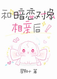 和暗恋对象一起去海边看日出